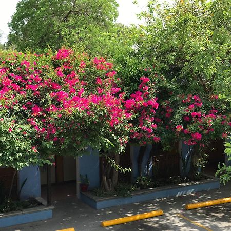 Hotel Hacienda Del Viejo Matamoros  Exteriér fotografie